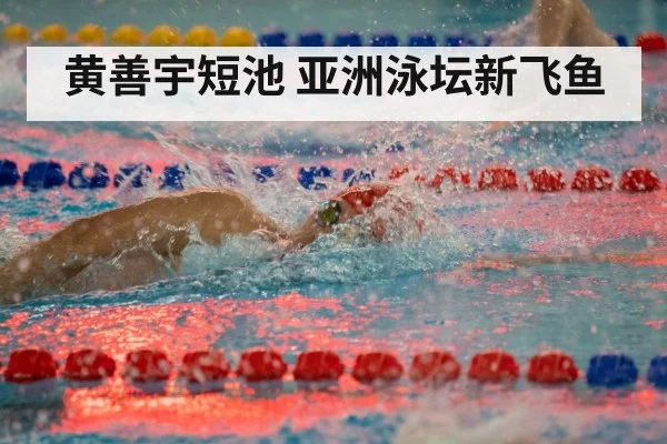黄善宇短池 亚洲泳坛新飞鱼